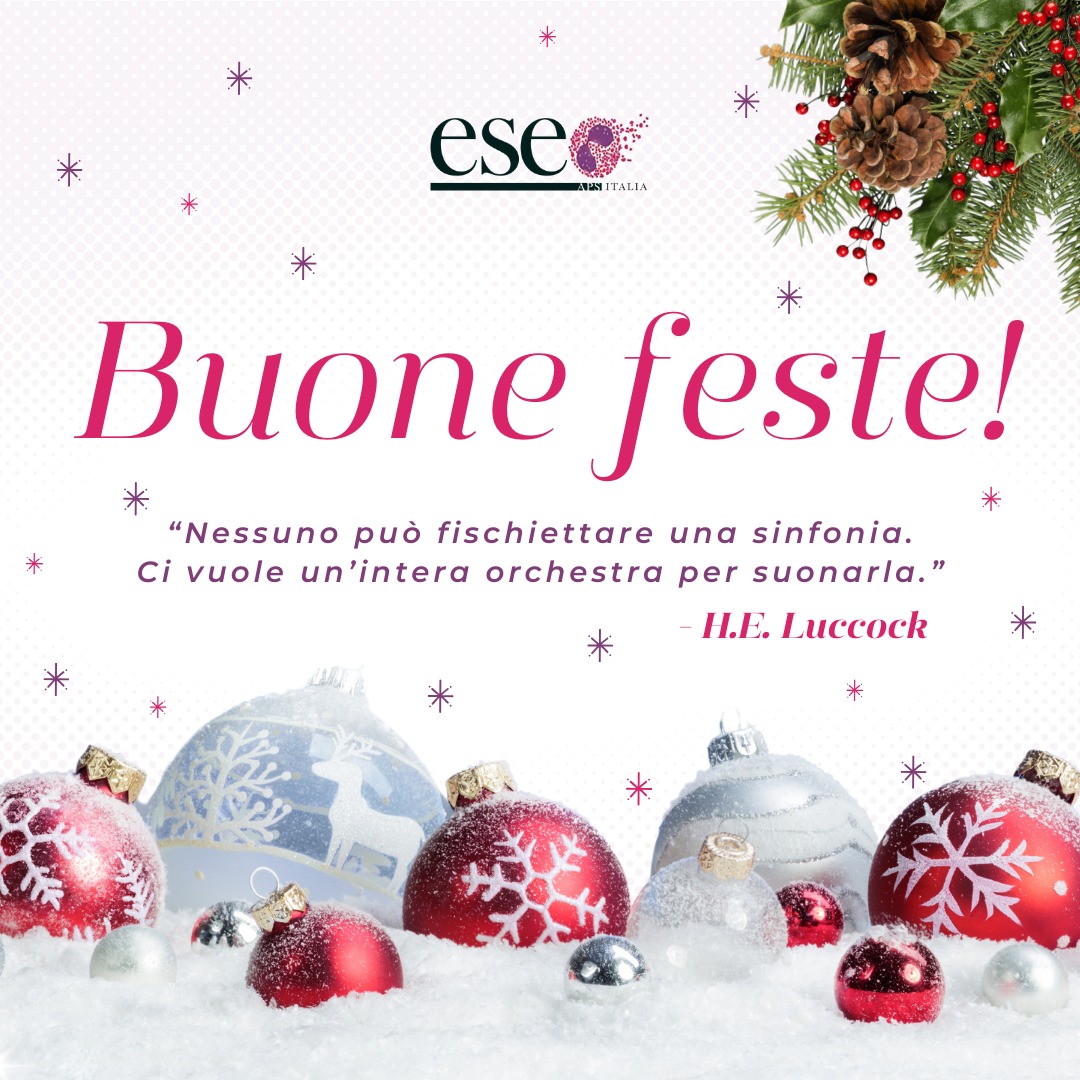 Buone feste da ESEO Italia!